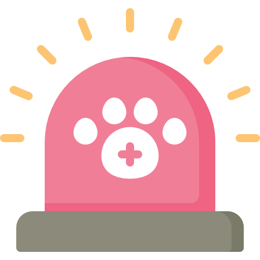 After-hours Emergency Care