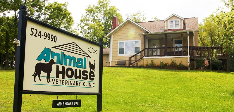 Veterinarian in Franklin, NC