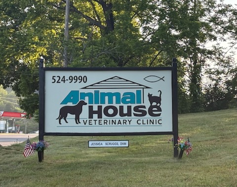 Veterinarian in Franklin, NC